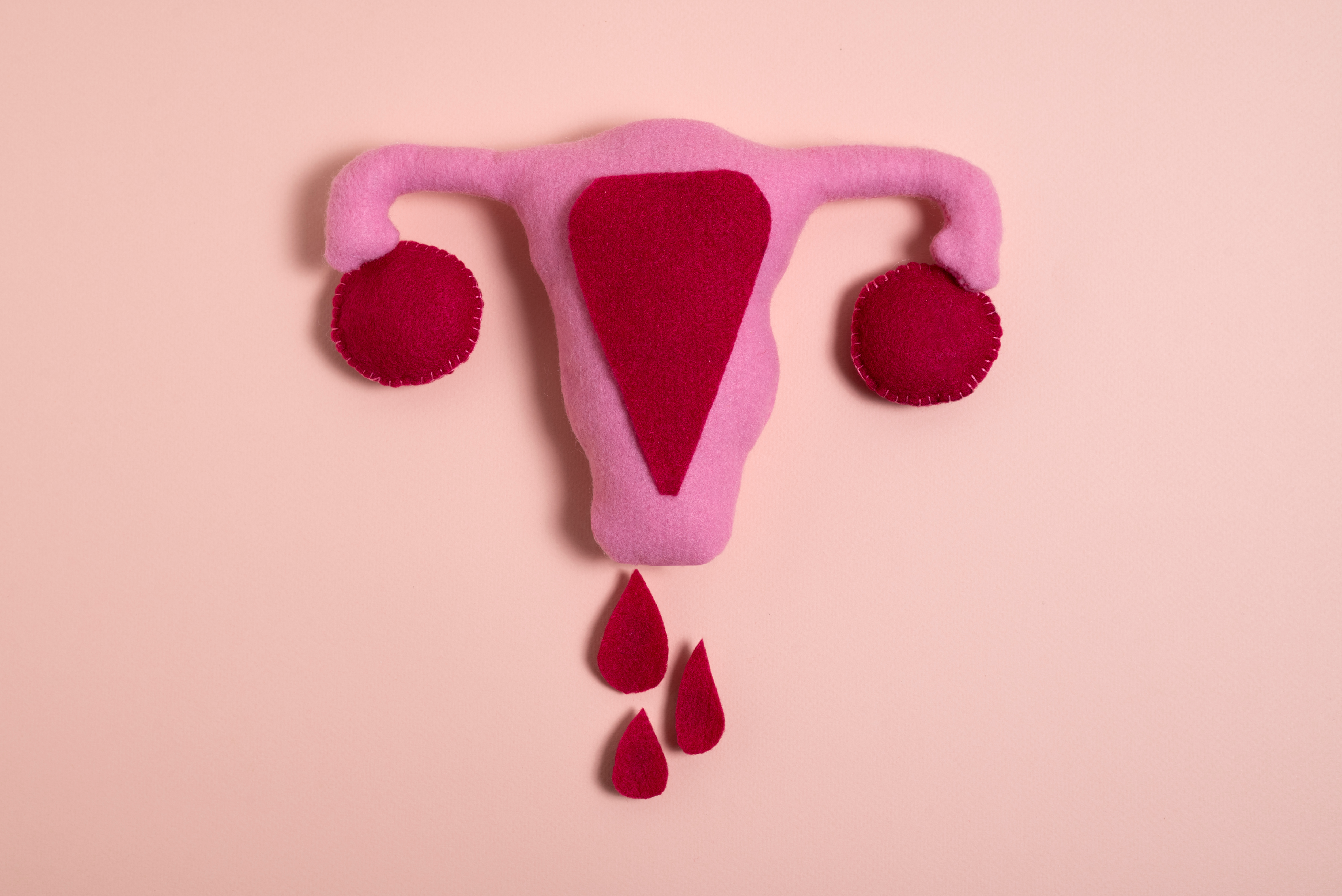 Женский менструальный цикл